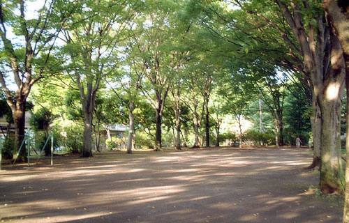 多摩平団地・ひまわり公園