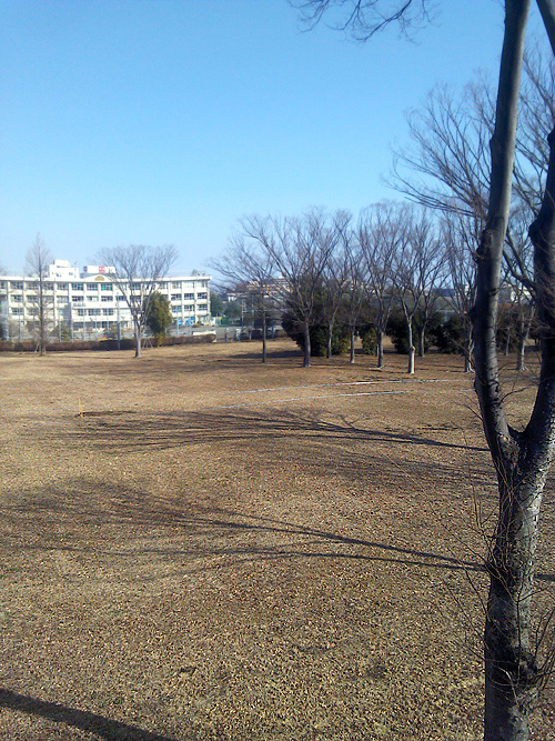 ひまわり公園跡2