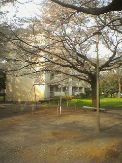 多摩平団地と桜